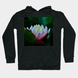 Pygmy Water-Lily Hoodie